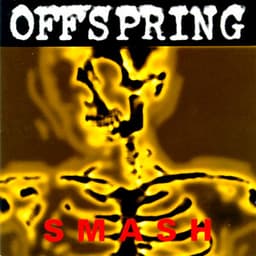 Artwork for the song Self Esteem by The Offspring