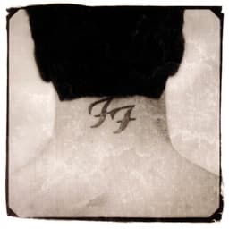 Artwork for the song Learn to Fly by Foo Fighters
