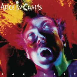 Artwork for the song Man in the Box by Alice In Chains