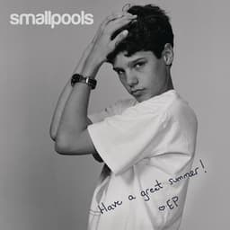 Artwork for the song Dreaming by Smallpools