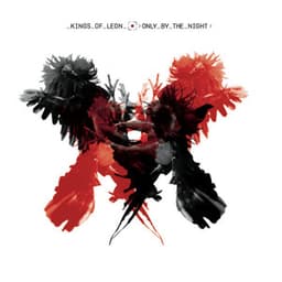 Artwork for the song Use Somebody by Kings of Leon