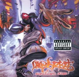 Artwork for the song Break Stuff by Limp Bizkit