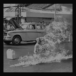 Artwork for the song Killing In The Name by Rage Against The Machine