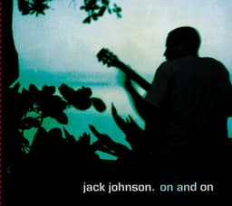 Artwork for the song Times Like These by Jack Johnson