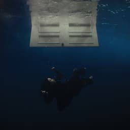 Artwork for the song BIRDS OF A FEATHER by Billie Eilish