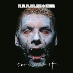 Artwork for the song Du hast by Rammstein