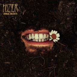 Artwork for the song Too Sweet by Hozier