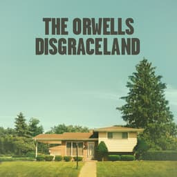 Artwork for the song Who Needs You by The Orwells
