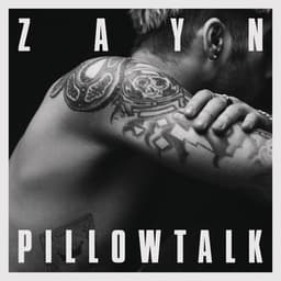 Artwork for the song PILLOWTALK by ZAYN