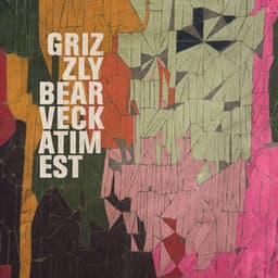Artwork for the song Two Weeks by Grizzly Bear